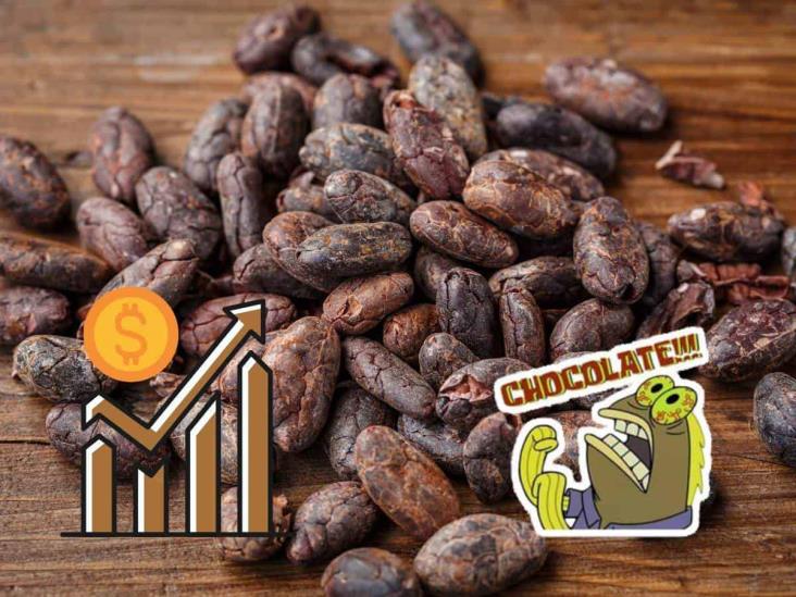 ¿Subirá el chocolate? Precios del cacao aumentaron en Veracruz por esta razón