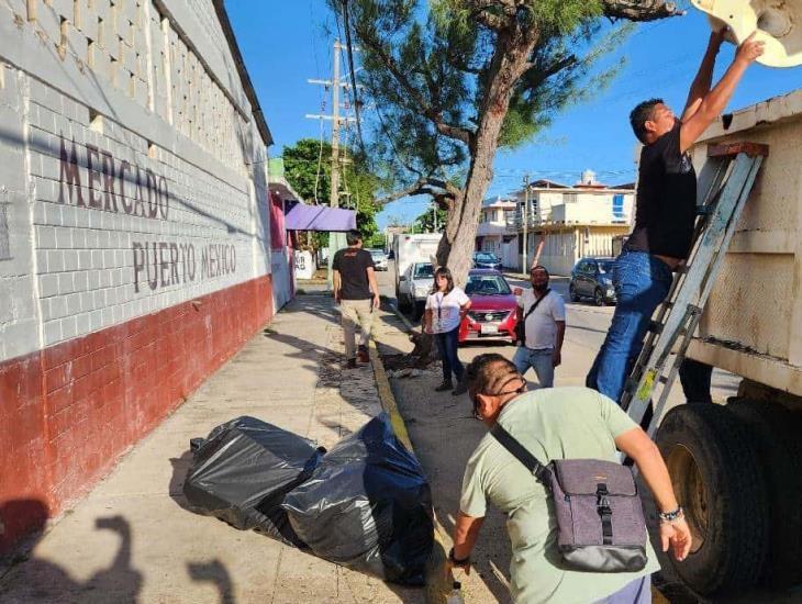 Dengue: con esta estrategia combatirán criaderos en mercados de Coatzacoalcos