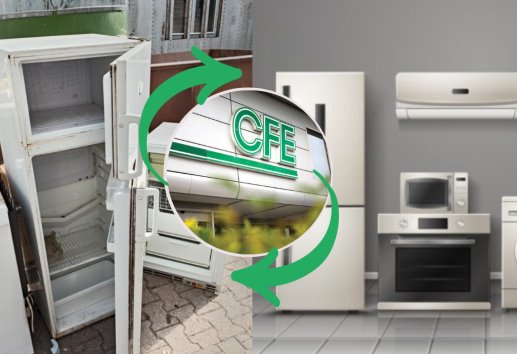CFE: Estos son los requisitos para renovar tus electrodomésticos con el programa ASI