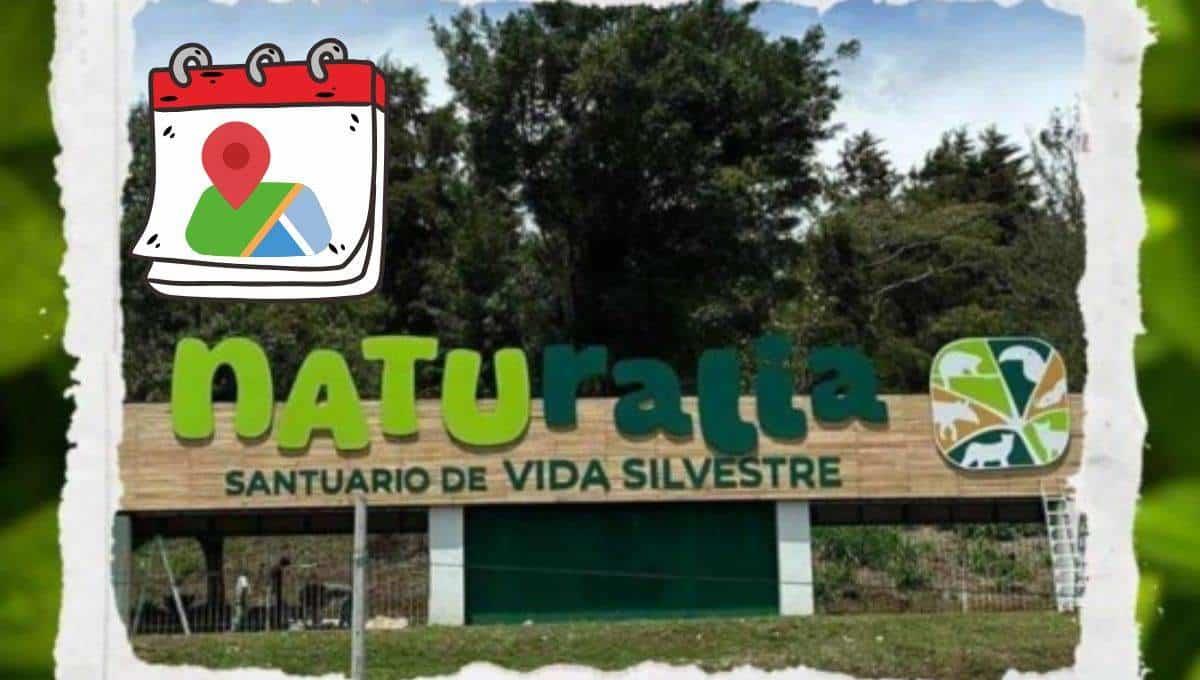 ¿Dónde y cuándo se inaugura el Parque Naturalia en Veracruz?