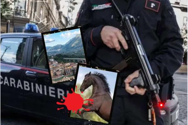Cabeza de caballo en una excavadora: así reviven amenazas de mafia siciliana a empresarios