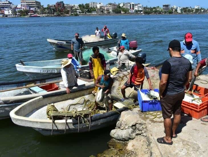 Pescadores de Veracruz esperan repunte en capturas por frentes fríos para Navidad