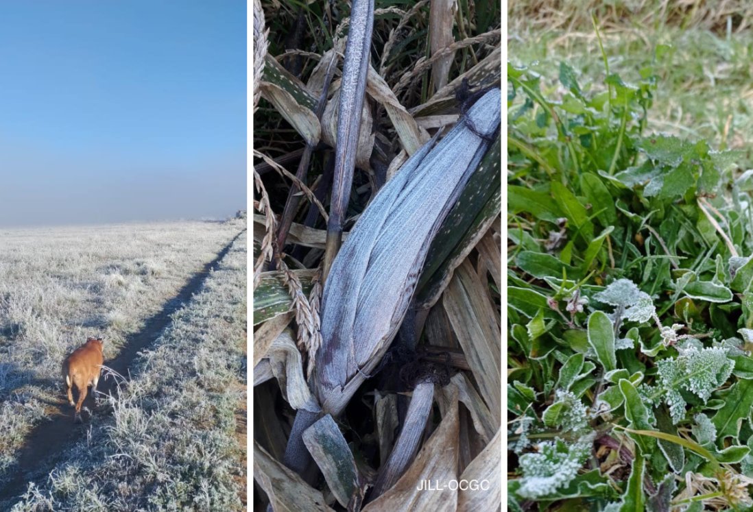 3 municipios de Veracruz amanecieron a menos de 0 grados hoy 23 de noviembre de 2024