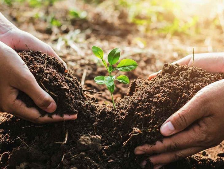 PASO DECISIVO PARA LA CONSERVACIÓN AMBIENTAL EN VERACRUZ