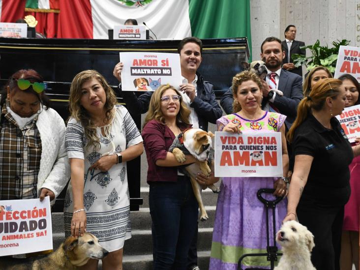 Veracruz aprueba reforma de protección animal, un paso contra el maltrato