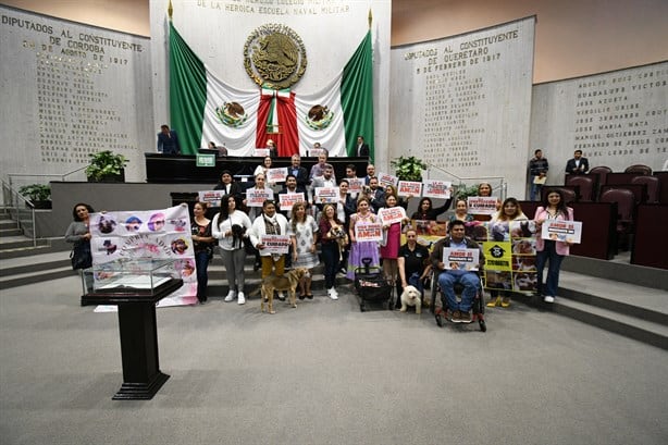 Veracruz aprueba reforma de protección animal, un paso contra el maltrato