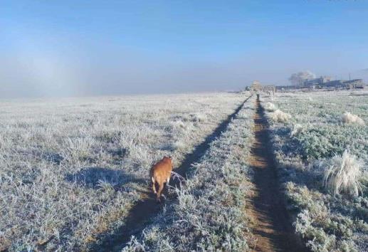 Helada en Las Vigas de Ramírez; en Perote temperaturas descendieron cero grados