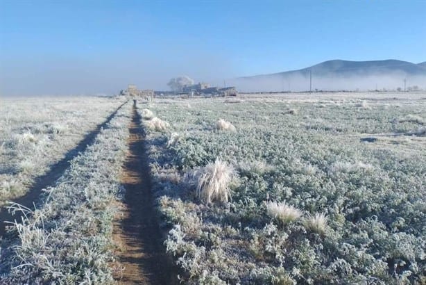 Helada en Las Vigas de Ramírez; en Perote temperaturas descendieron cero grados