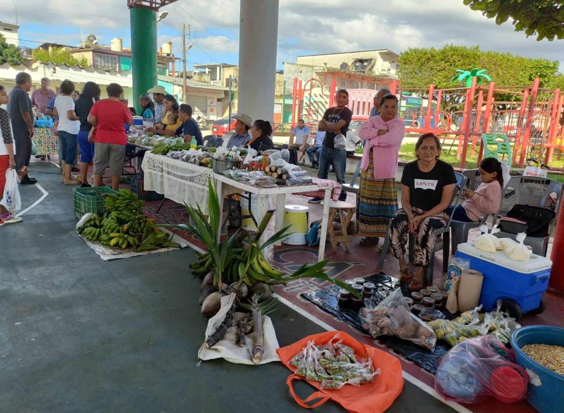 Sembrando Vida: Ponen en marcha mercado campesino en Moloacán | VIDEO