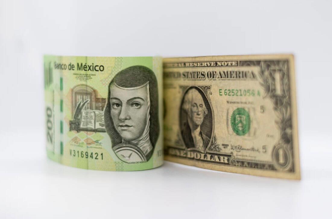 Así despertó el dólar frente al peso mexicano HOY domingo 24 de noviembre | Precio bancos