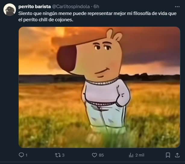 Chill Guy: El origen del meme del perro que es tendencia en redes sociales