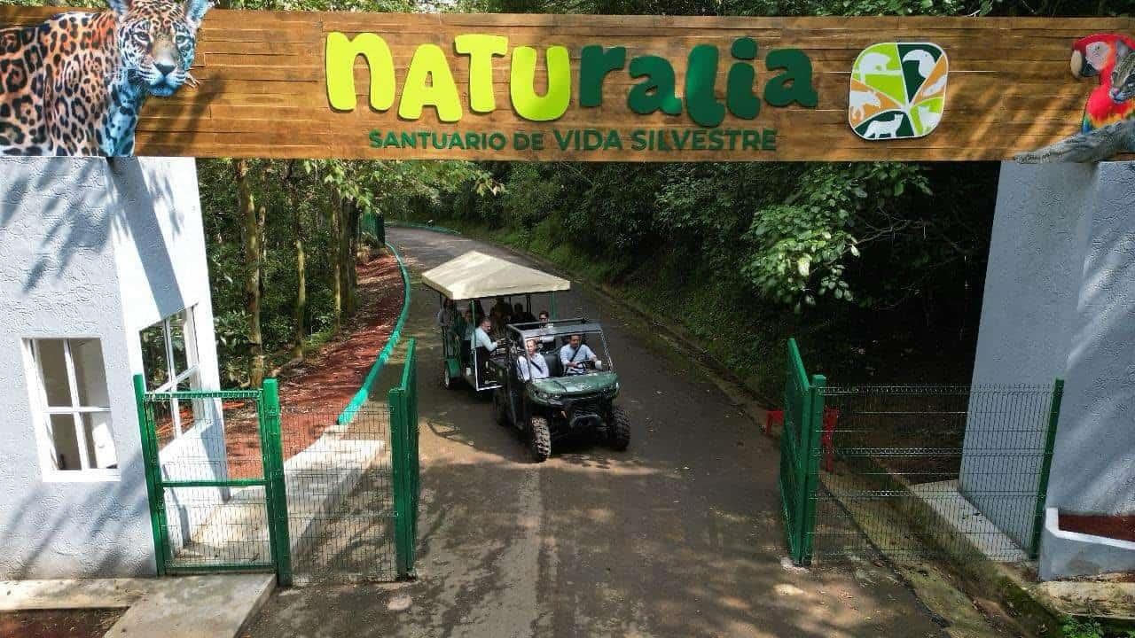 Cuánto cuesta ir del puerto de Veracruz al parque Naturalia, donde hay jaguares y venados