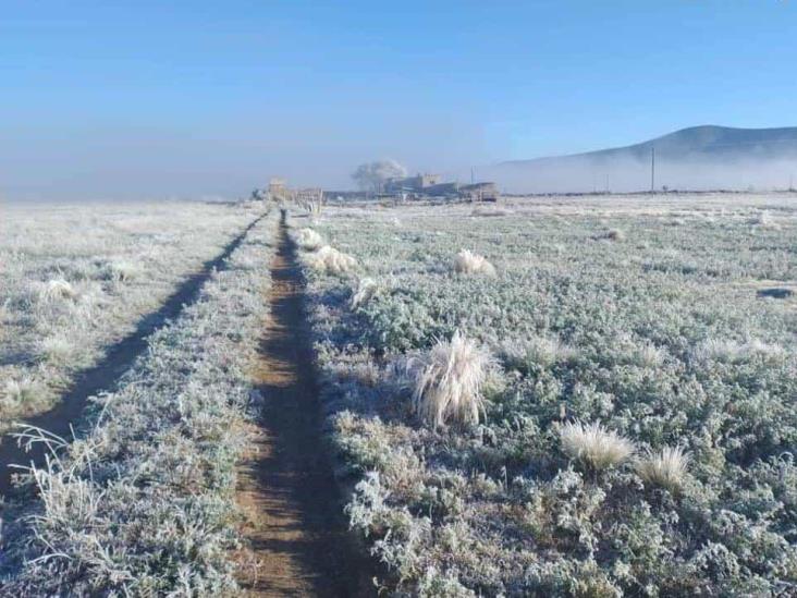 Veracruz, sin afectaciones tras temperaturas bajo cero, reporta PC