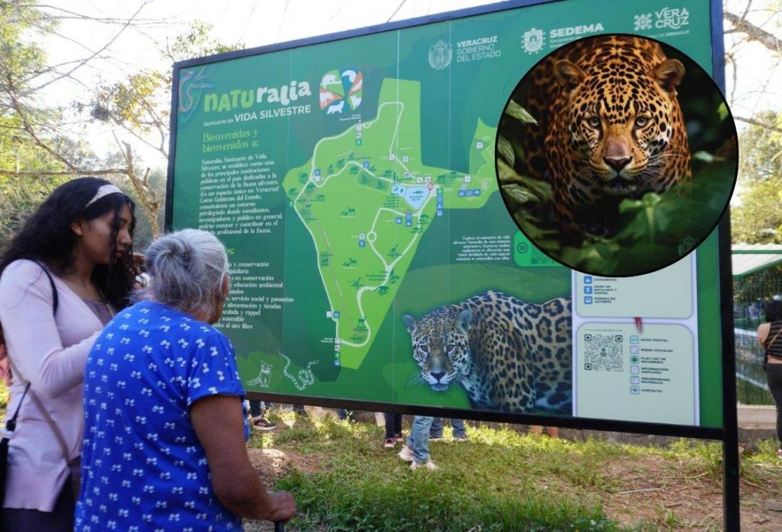 Estas especies alberga el primer santuario de vida silvestre en Veracruz |Ubicación