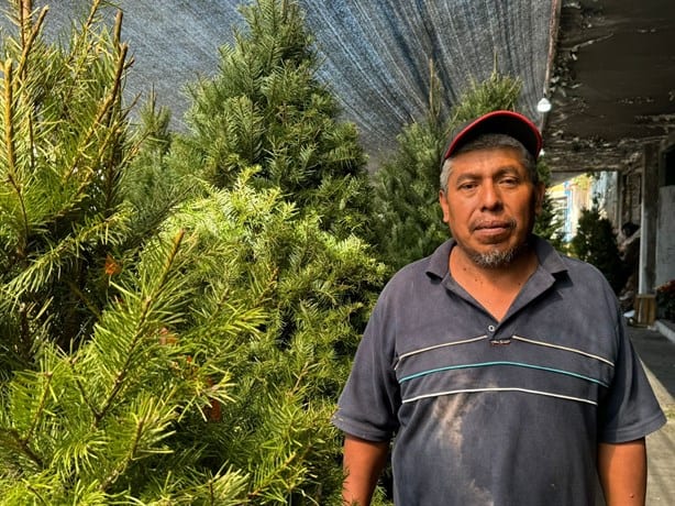 Comerciantes de árboles de Navidad y nochebuenas en Veracruz esperan un repunte