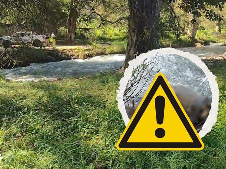 Horror: Descubren cuerpo putrefacto flotando en el Río Blanco, en Mendoza