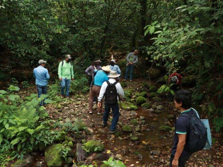 Preservación del Cerro del Algodón, esfuerzo por la biodiversidad de Misantla