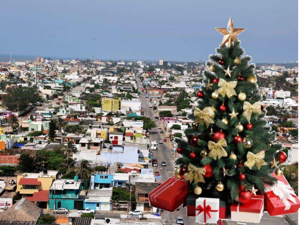 Navidad 2024: ¿Cuál es el costo de los pinos navideños en Coatzacoalcos?