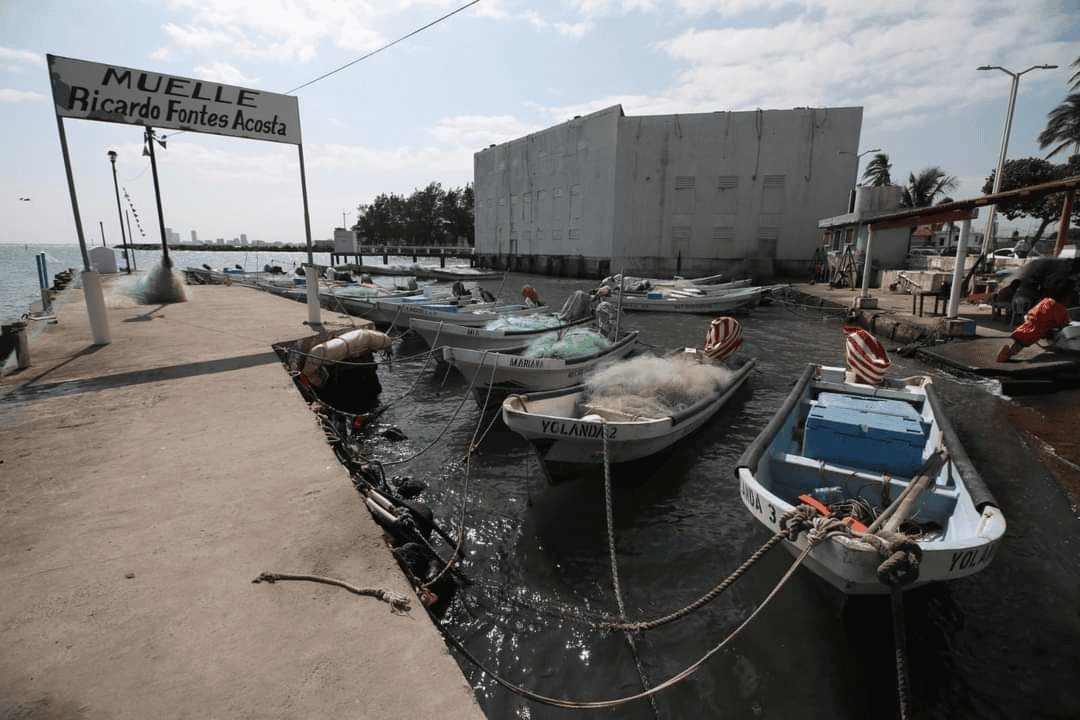 Pescadores de Veracruz esperan gran arribazón de especies con el próximo frente frío