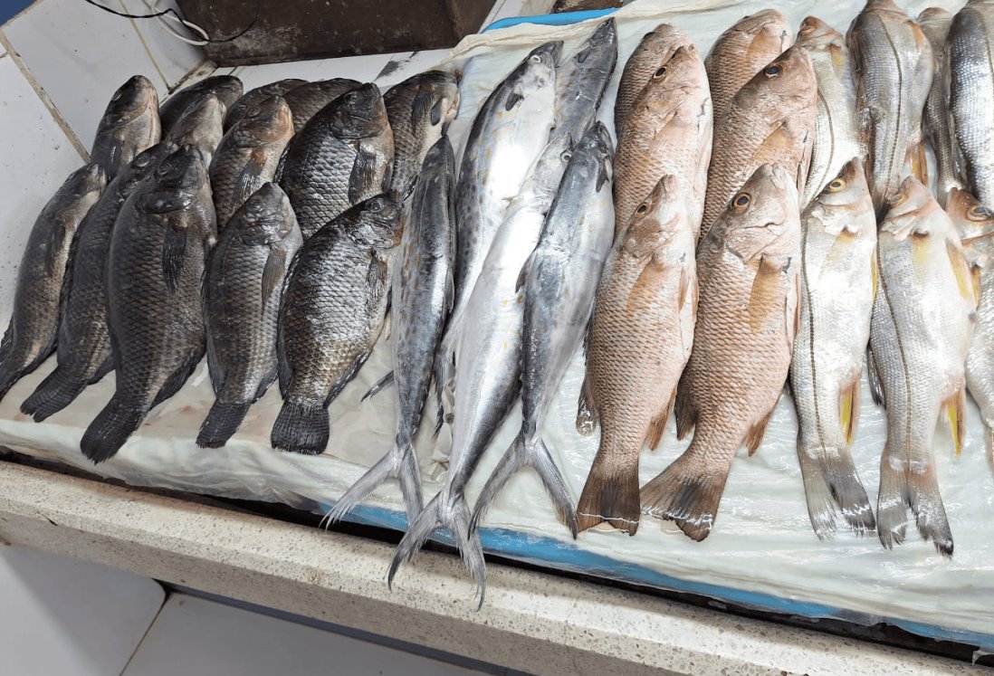 Estos son los precios de pescados y mariscos en los mercados de Veracruz