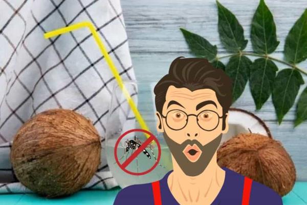 Un remedio natural para el dengue: cómo usar agua de coco