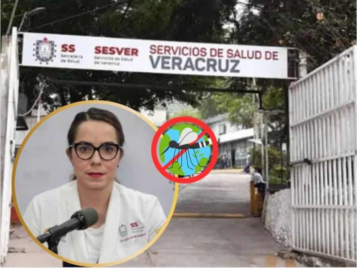 En comparecencia, titular de Salud niega que Veracruz lidere en casos de dengue