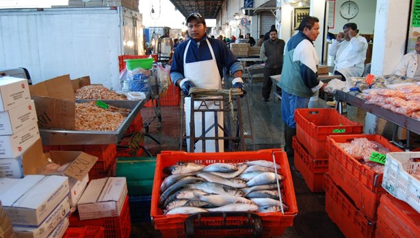 Buenos, bonitos y baratos: Los mejores lugares en Veracruz para comprar mariscos