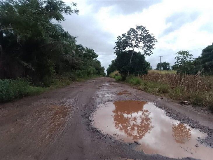 Esta carretera al sur de Veracruz fue abandonada por gobierno de Cuitláhuac: transportistas