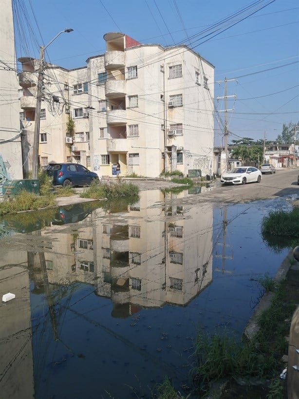 Vivimos en la cochinada, vecinos de Coatzacoalcos de quejan del mal estado de drenajes | VIDEO