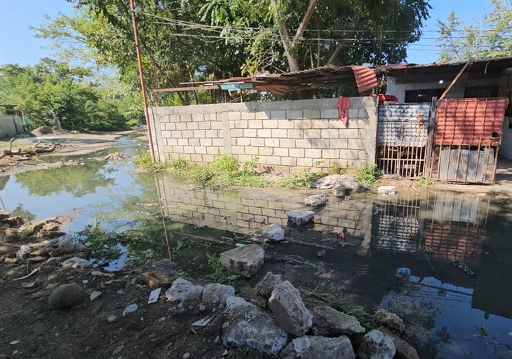 Fuga de aguas negras en colonia de Poza Rica, ¡sigue sin solución!