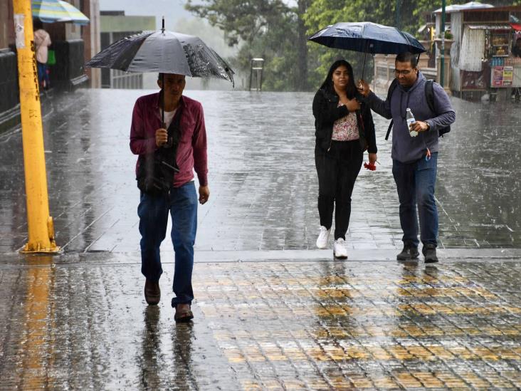 Atención, emiten Aviso Especial por Frente Frío 11 y Norte en Veracruz; te decimos cuándo