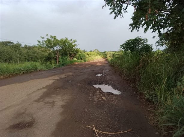 Esta carretera al sur de Veracruz fue abandonada por gobierno de Cuitláhuac: transportistas