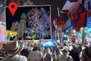 ¿Estás listo?, habrá concurso municipal de ramas navideñas en Xalapa, checa detalles