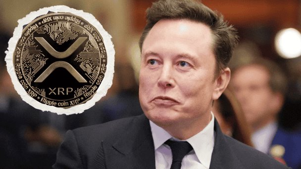 De Bitcoin a XRP: La nueva era cripto que Musk no puede ignorar