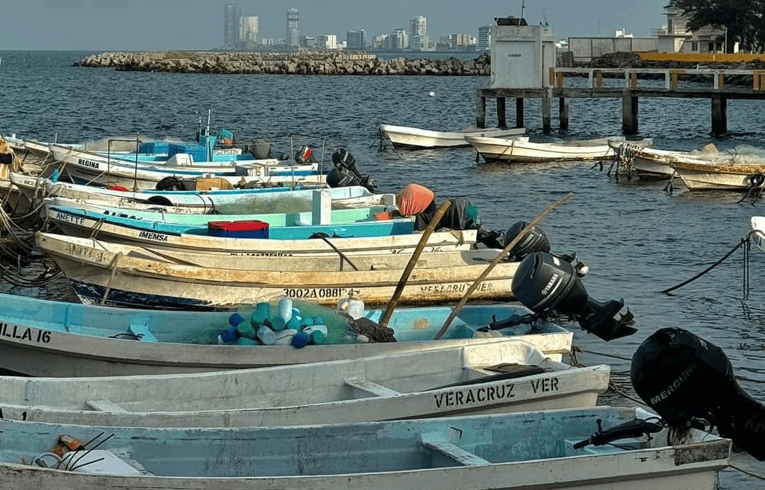 Pescadores de Veracruz piden que regresen programas de apoyo retirados