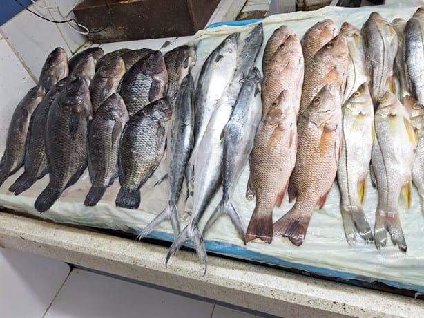 ¿Pescado para Navidad? Estos son sus precios en los mercados de Veracruz