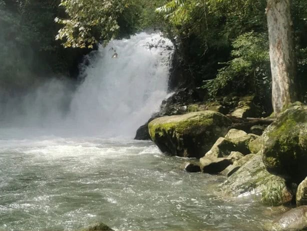 Si buscas biodiversidad y aventura, explora el Cañón del Río Blanco, joya verde de Veracruz