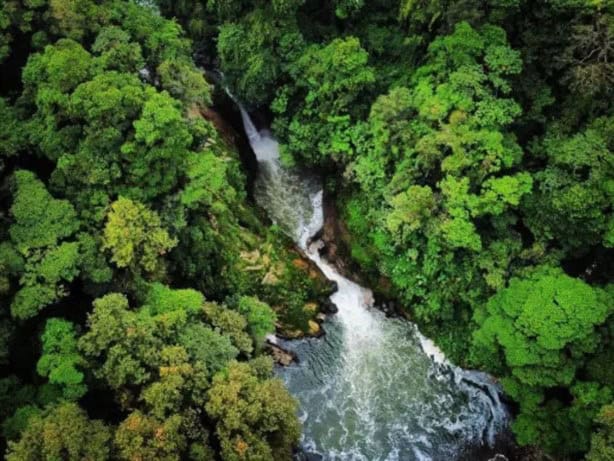 Si buscas biodiversidad y aventura, explora el Cañón del Río Blanco, joya verde de Veracruz