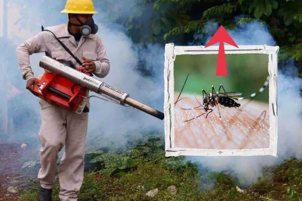 Dengue en Misantla: Aumentan los casos a pesar del frío