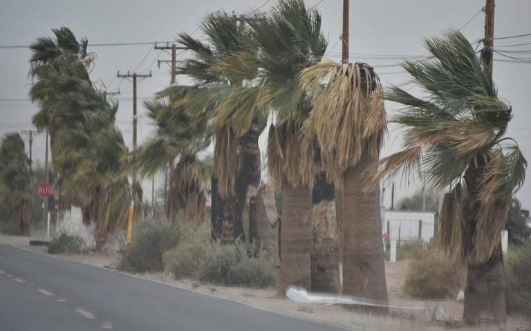 Frente Frío se estaciona en esta zona del Golfo de México, así estará el clima de hoy al 10 de diciembre