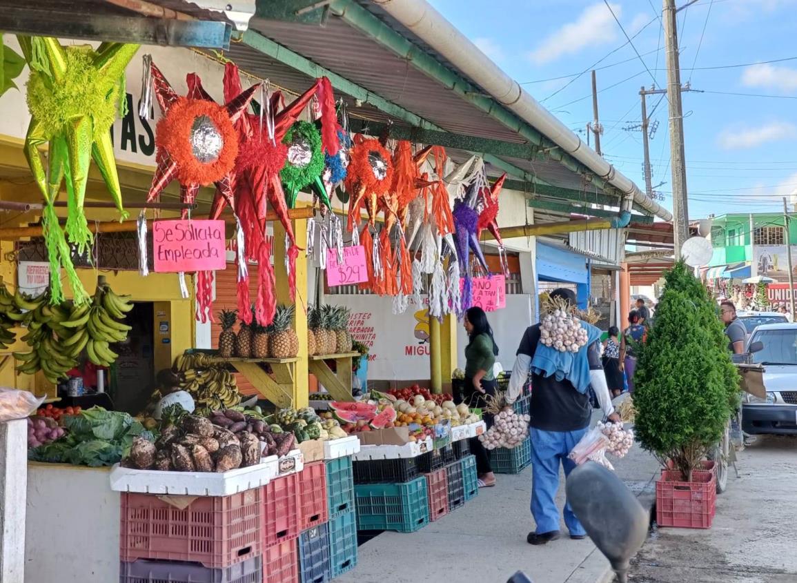 Ya no invierten tanto en la venta de pinos navideños en Villa Cuichapa