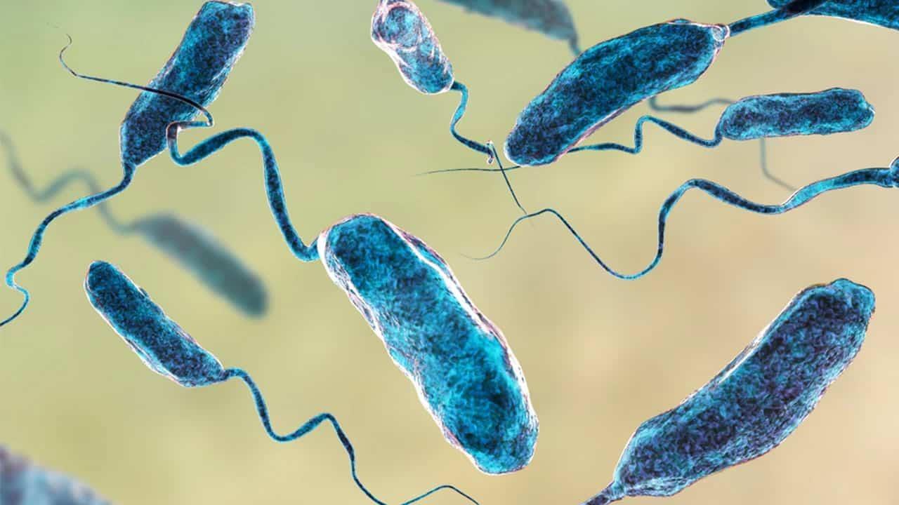 Estos son los síntomas de la Klebsiella oxytoca; causó la muerte de 13 niños