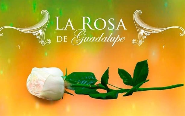 5 episodios de La rosa de Guadalupe que sorprendieron a los televidentes