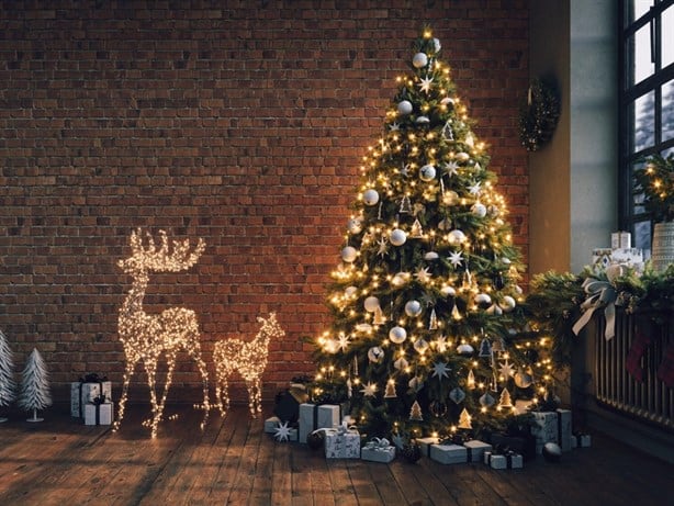 ¿Cuándo debe colocarse y quitarse el árbol de Navidad?