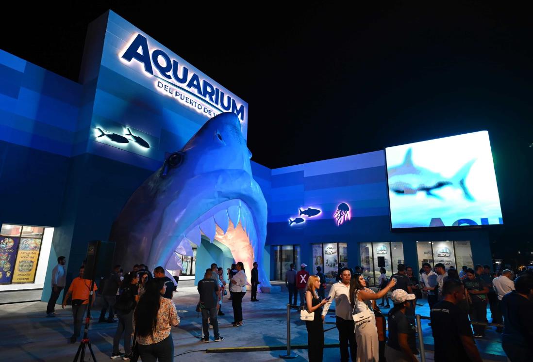 Aquarium de Veracruz: ¿Cuáles fueron los primeros animales que llegaron al recinto?