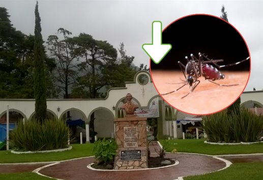 Han disminuido casos de dengue en Mendoza, pero se mantiene: Salud Pública