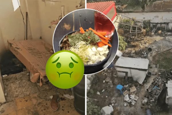 ¡Que asco! exponen a restaurante de ramen en Xalapa; operaba en condiciones deplorables 