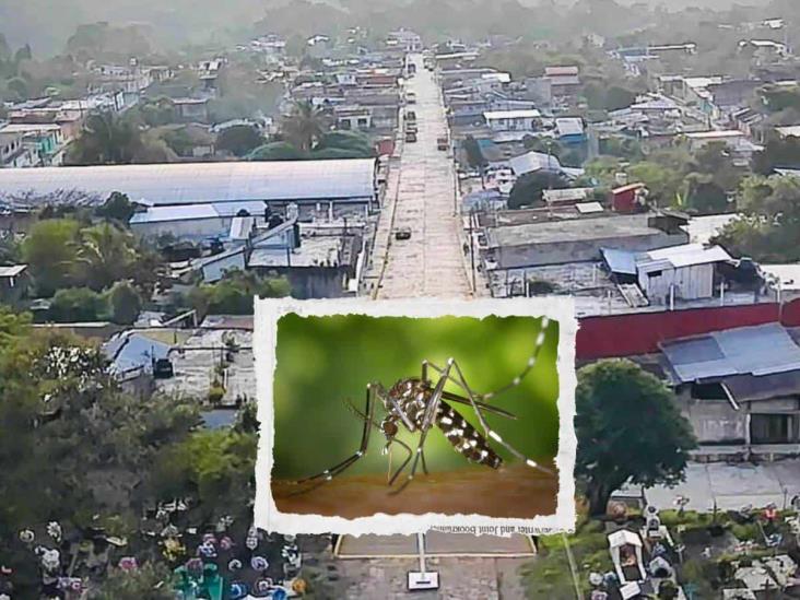 Esta comunidad de Misantla registra alza en casos de dengue