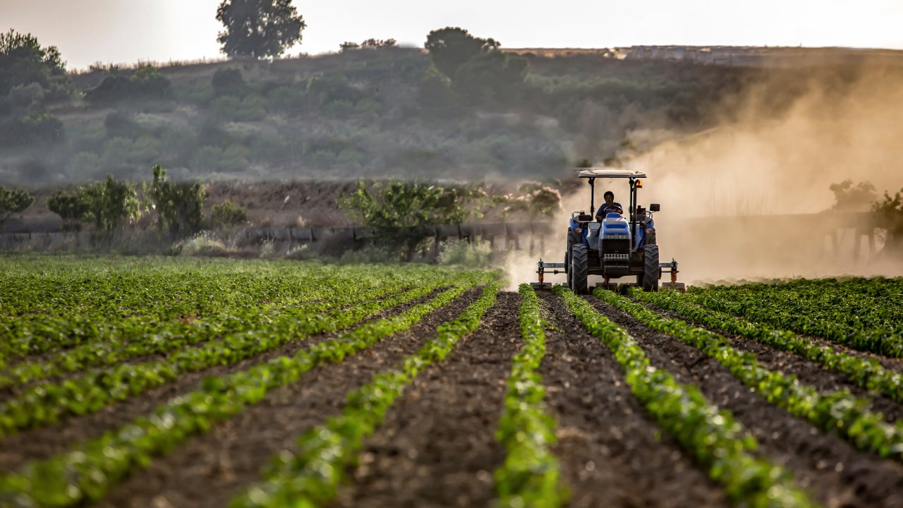 INNOVACIÓN AGROPECUARIA CLAVE PARA LA SEGURIDAD ALIMENTARIA