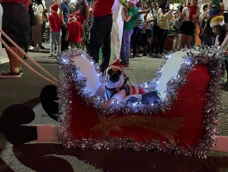 Con caminata canina Navideña 2024 en Acayucan promueven respeto y cuidado de los animales | FOTOS